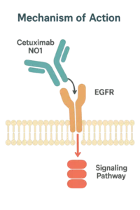 Cetuximab Colored structural formula