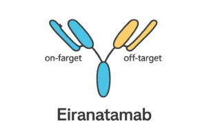 Elranatamab bispecific antibody schematic