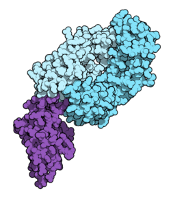 nivolumab-cas-946414-94-4-images