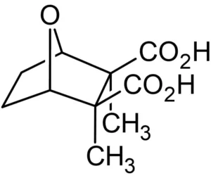 sodium-cantharidinate-cas-28874-45-5-images