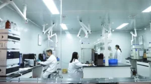 Survodutide Laboratory