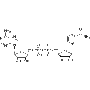 image-nad+-chemical-structure-manufacturers-supply