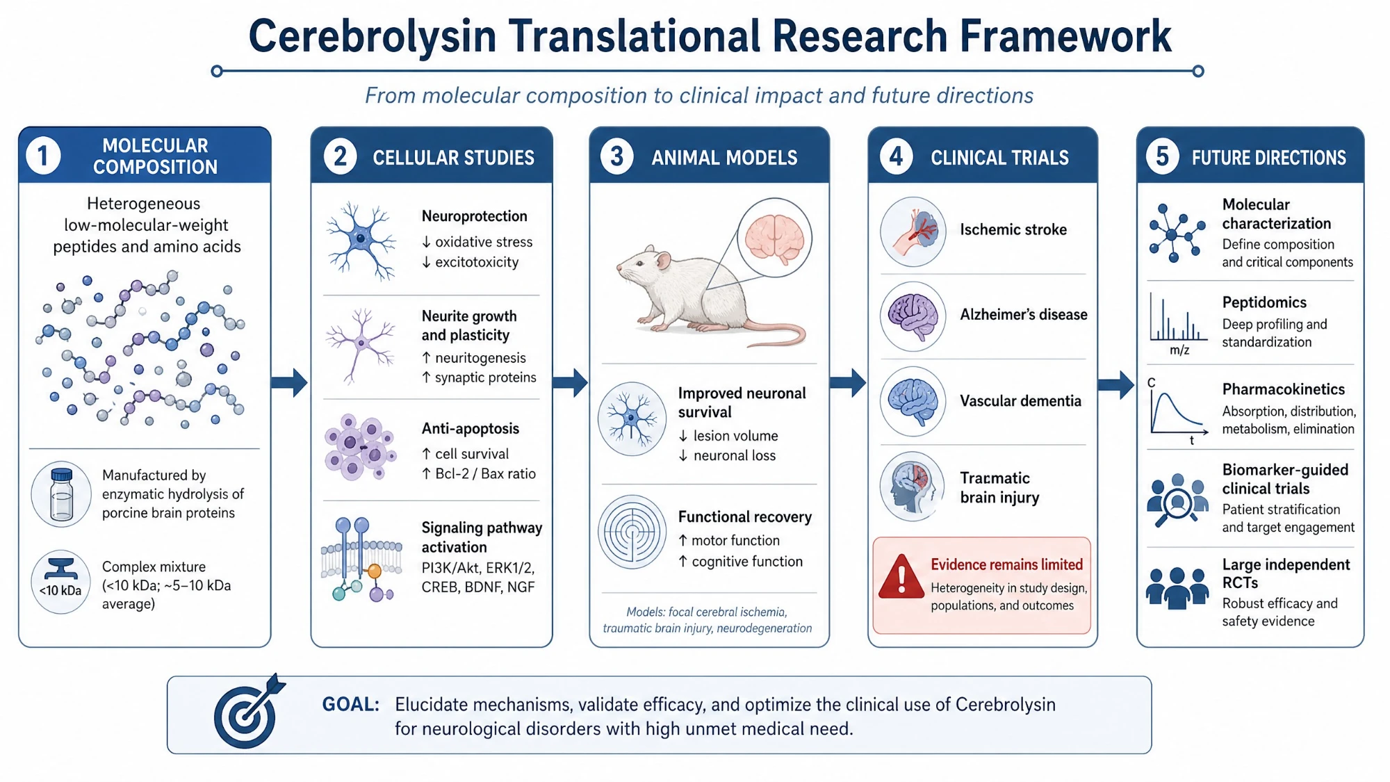 Translational research pathway and current evidence landscape of Cerebrolysin
